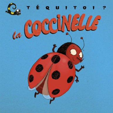 Téquitoi la coccinelle