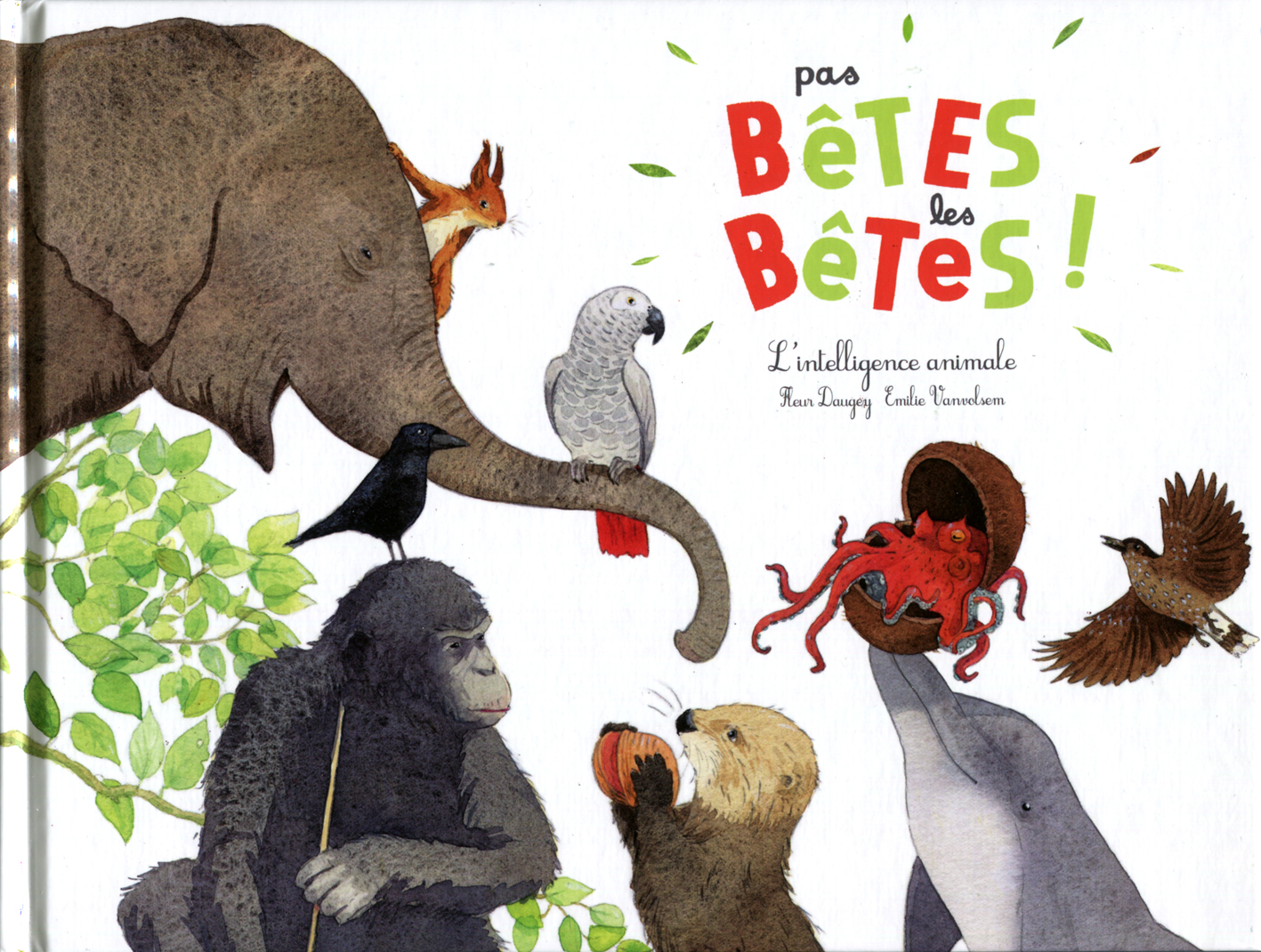 Pas bêtes les bêtes!