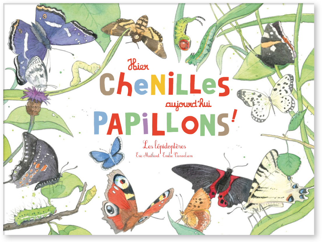 couv-papillons