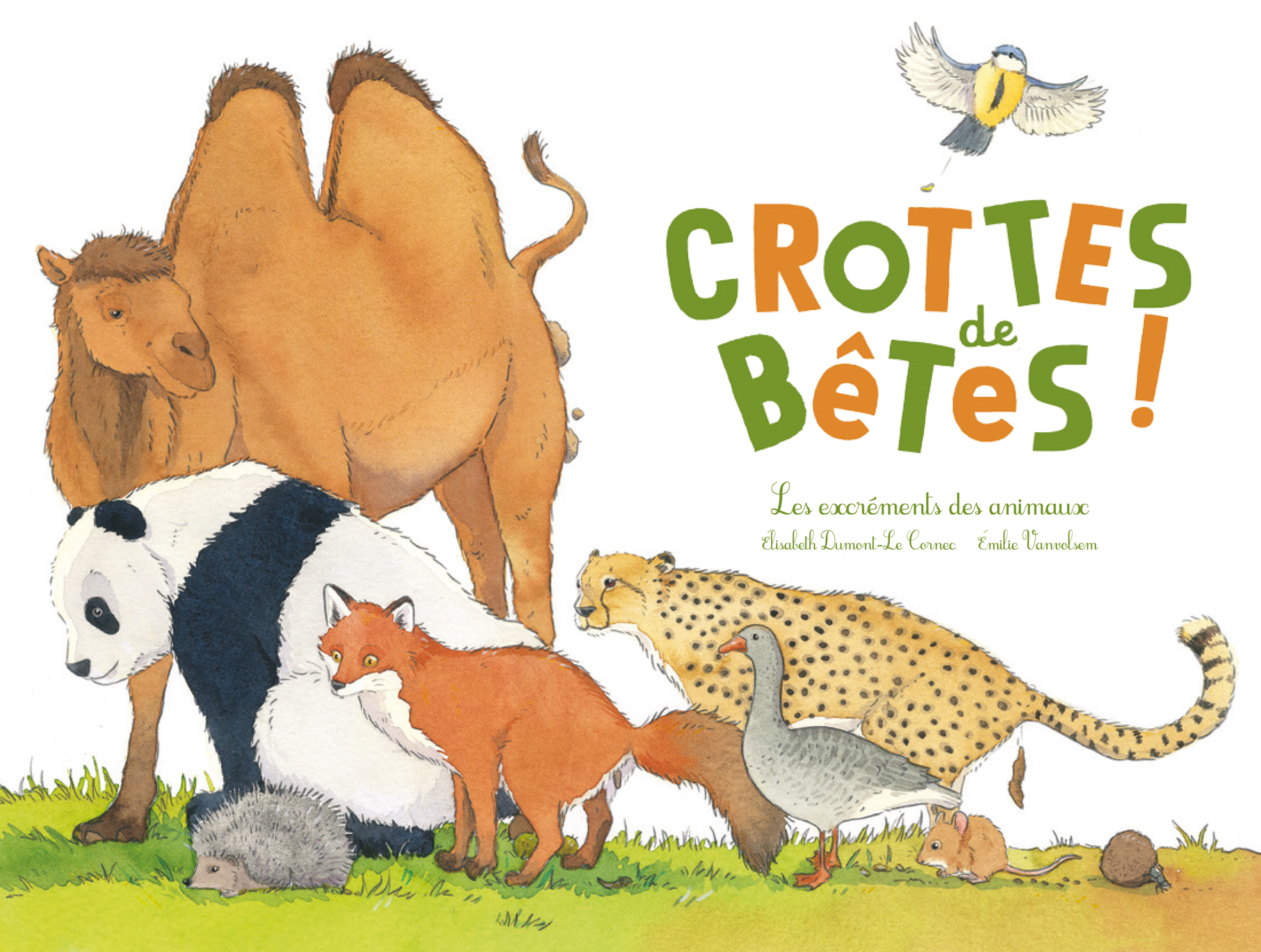 Crottes-couv