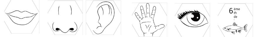 Graph - Emilie VanVolsem - Récap J&A 2018